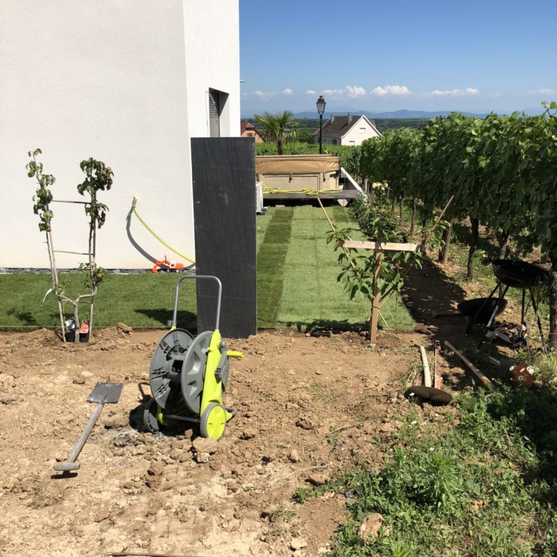 Pose de pelouse en rouleau, Bloc d&#8217;ardoise décoratif, Plantation d&#8217;arbre fruitiers en palissade Belfort 0
