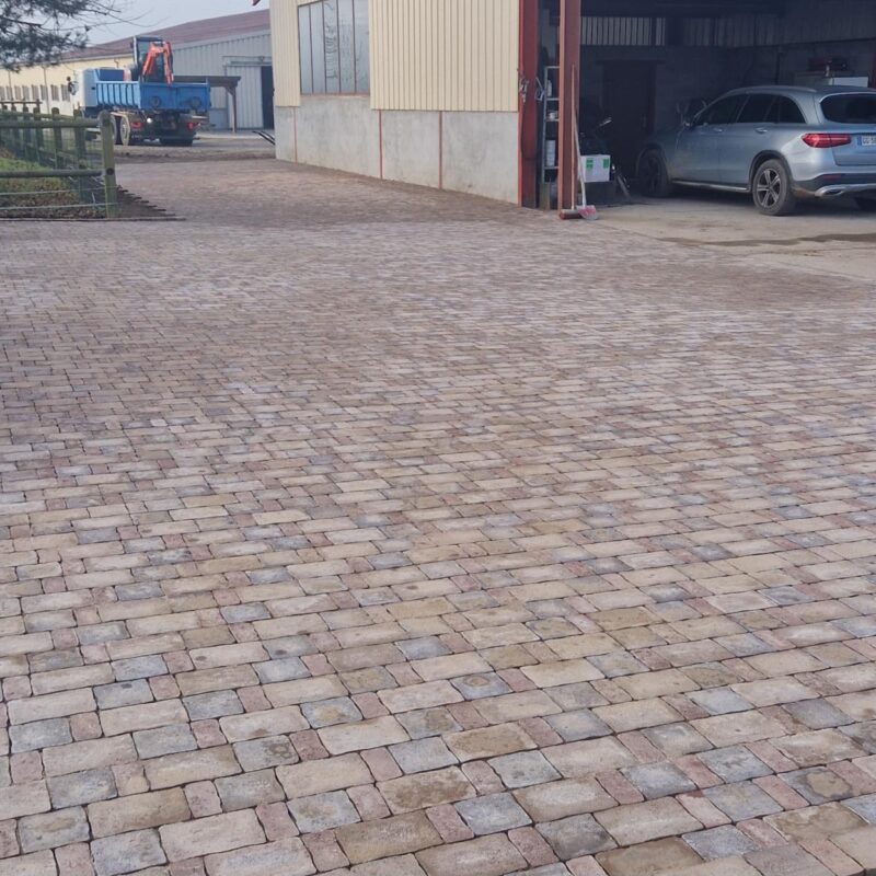 Aménagements extérieurs &#8211; février 2025 Rixheim 13